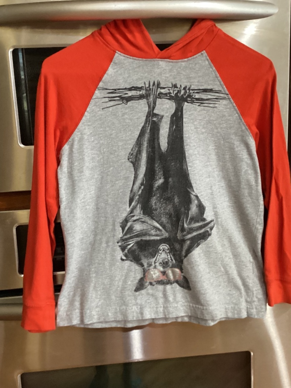 Boys Gymboree Hooded, Bat Tee, Size M